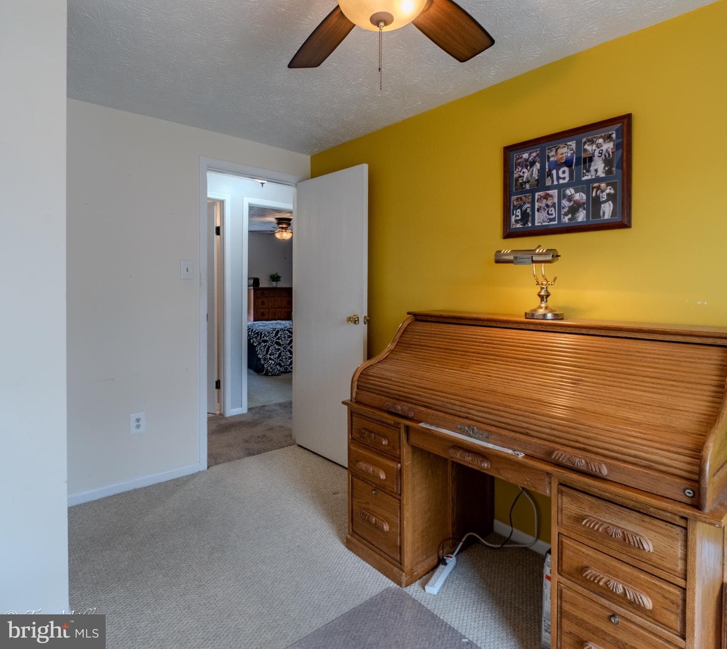 8802 Golden Tree Lane photo 20