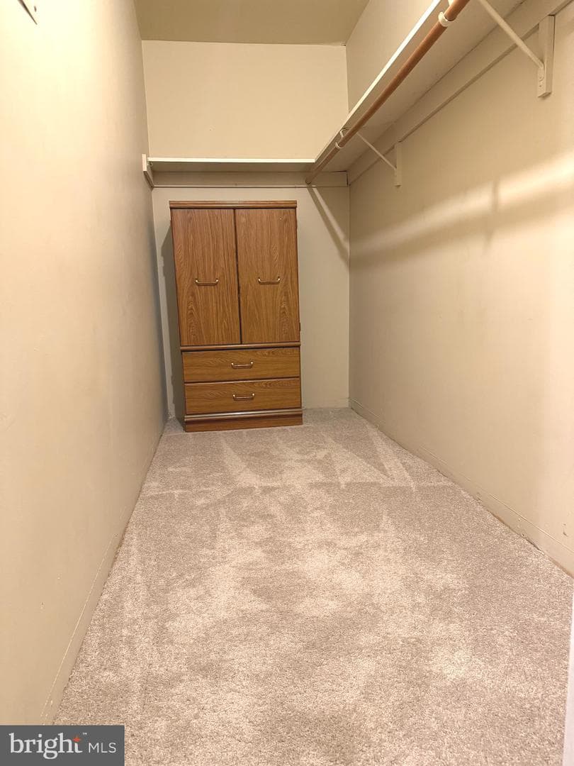 105 Fitz Court #202 photo 12