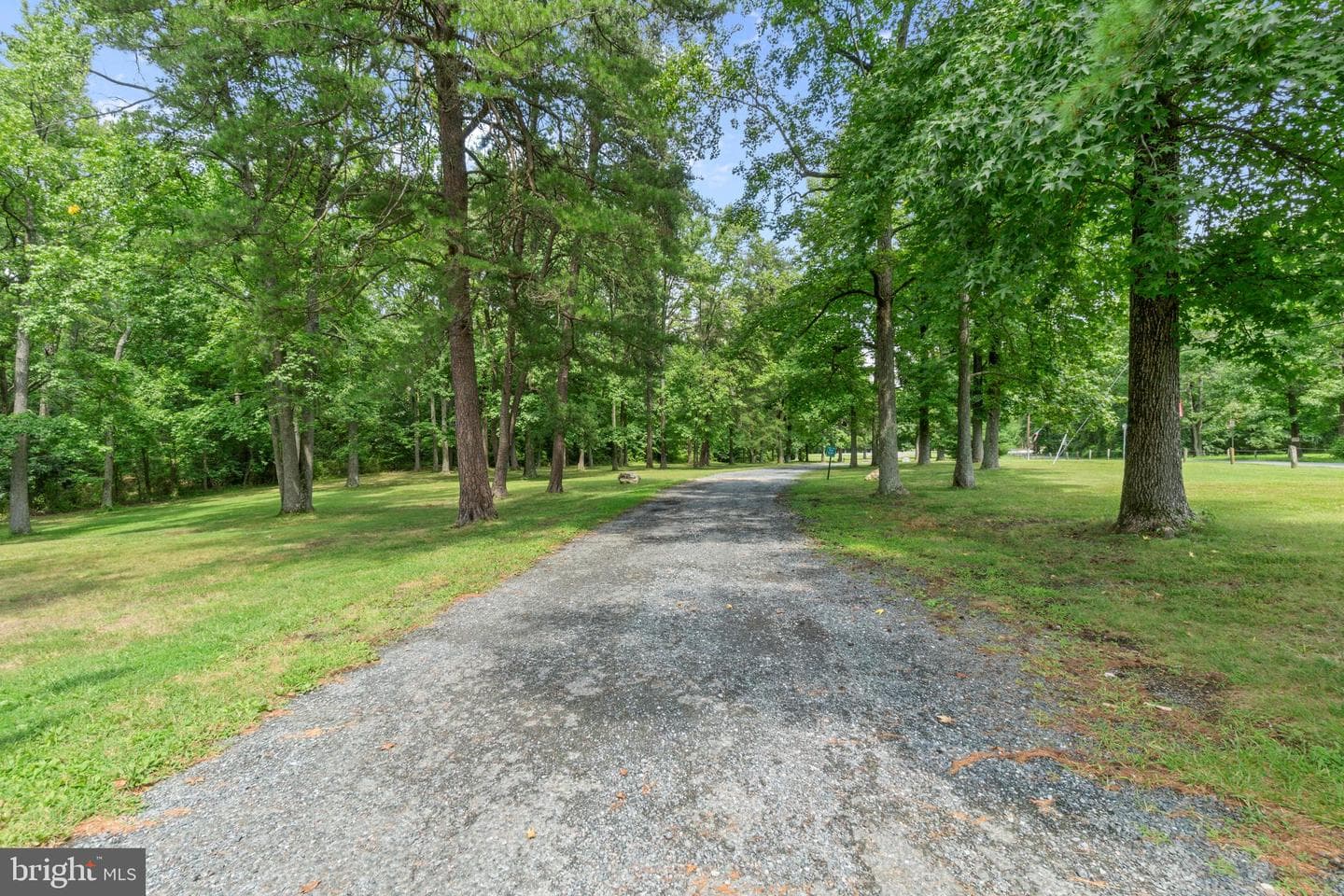 311 Greyhound Road photo 38