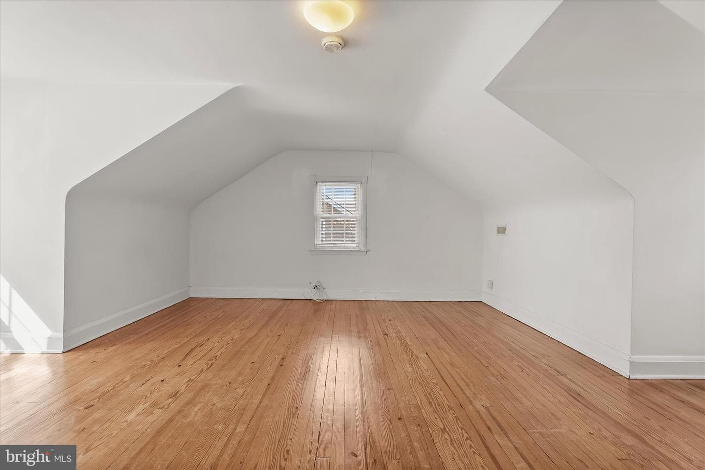 67 Dunkirk Road photo 39