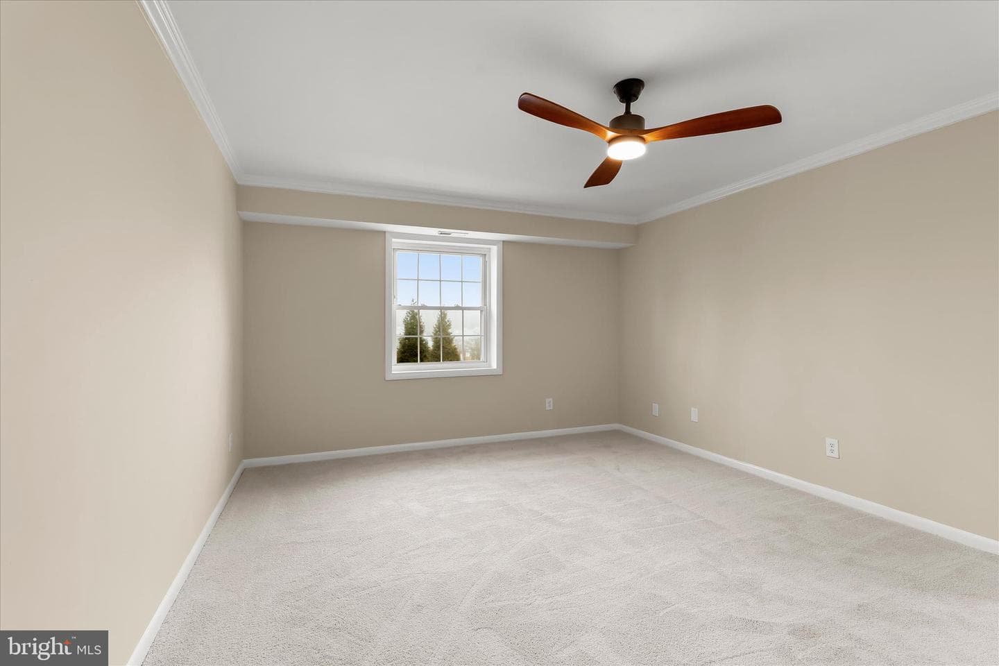 2 Elphin Court #302 photo 22