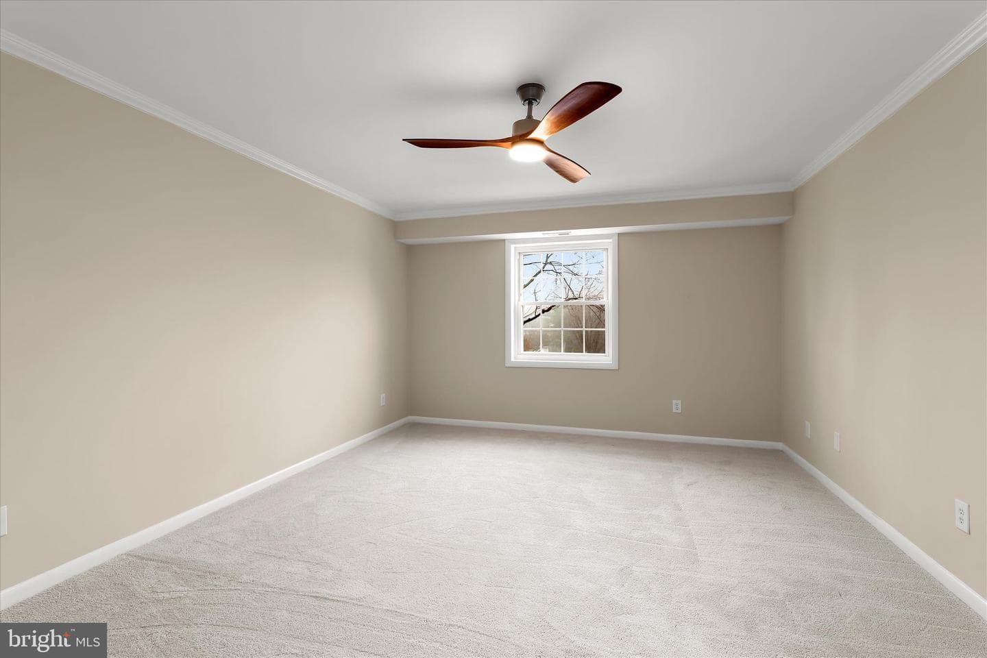 2 Elphin Court #302 photo 23