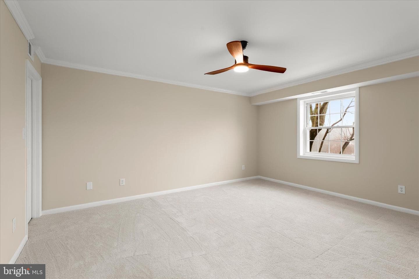 2 Elphin Court #302 photo 24