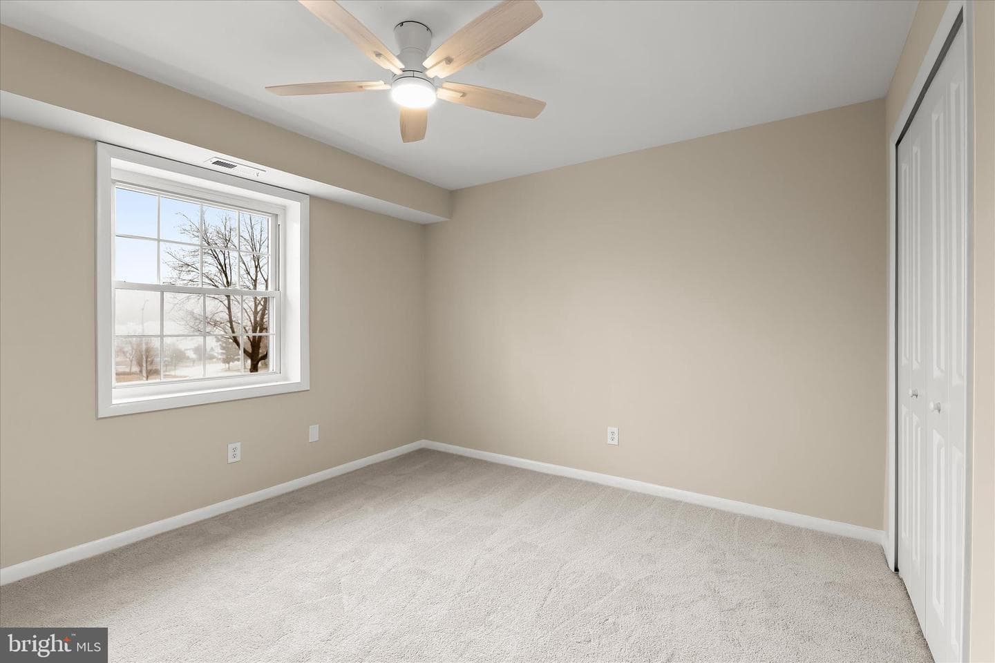 2 Elphin Court #302 photo 29