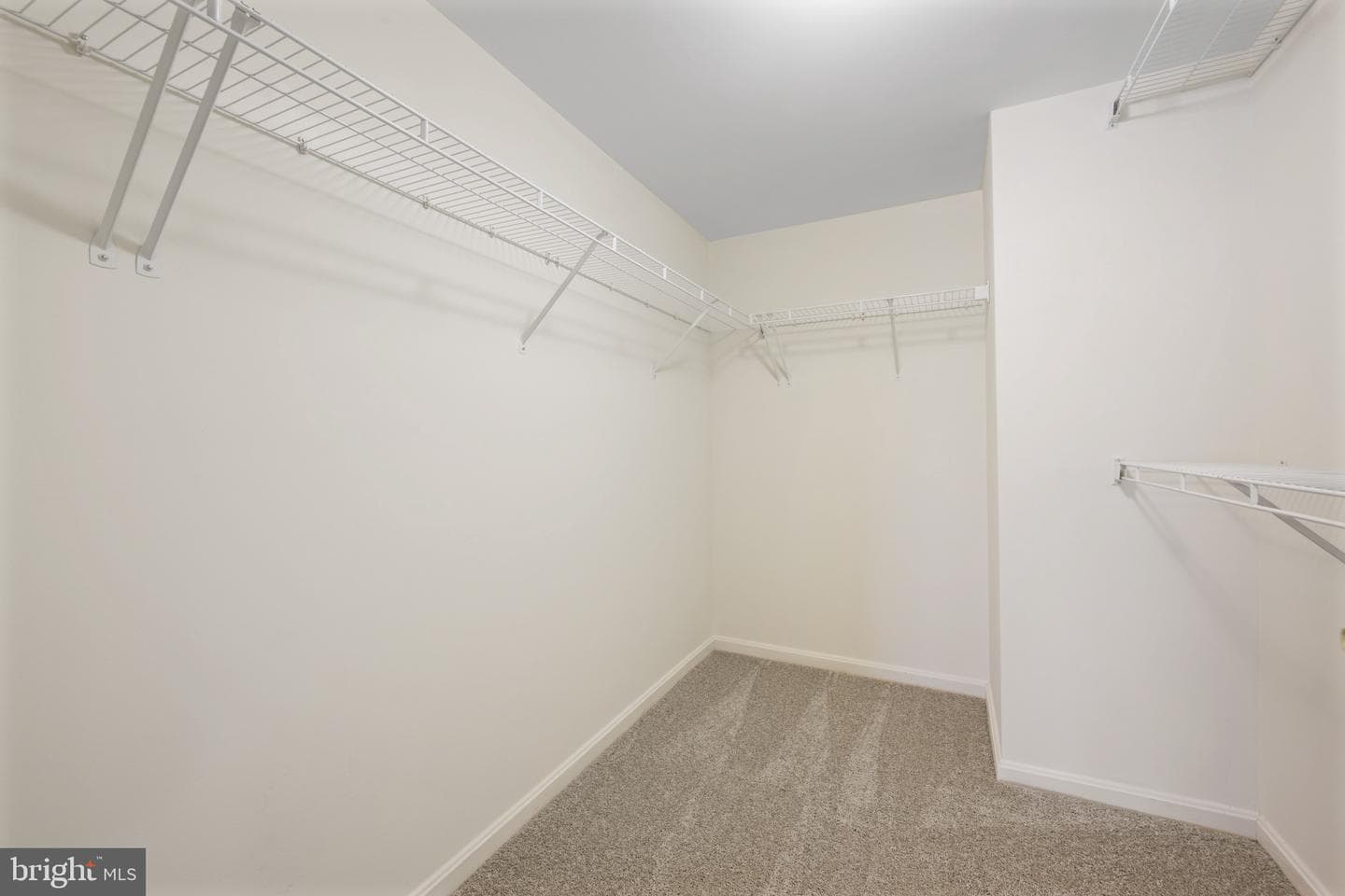12246 Roundwood Road #707 photo 13