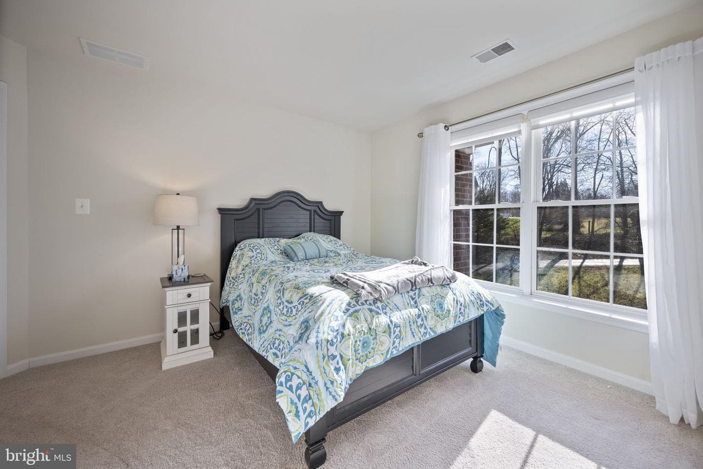 3 Blue Violet Court photo 58