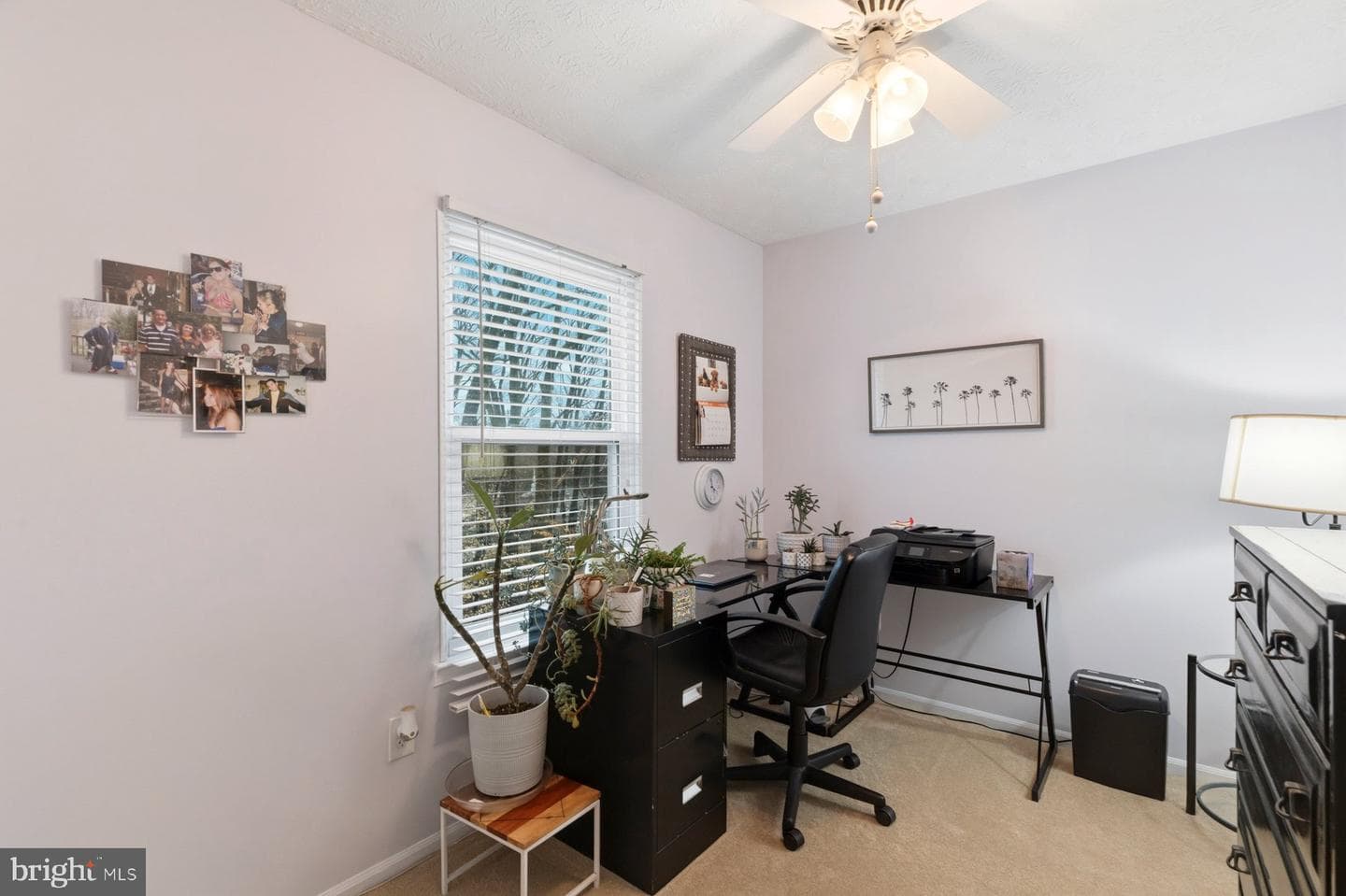 9732 Britinay Lane photo 24