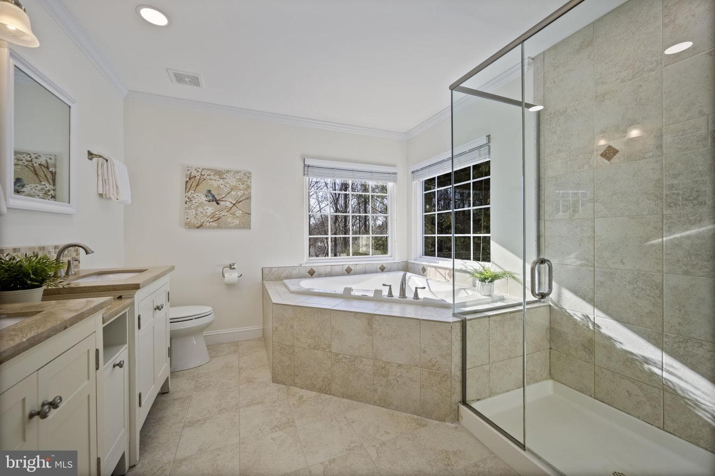 732 White Oaks Avenue photo 34