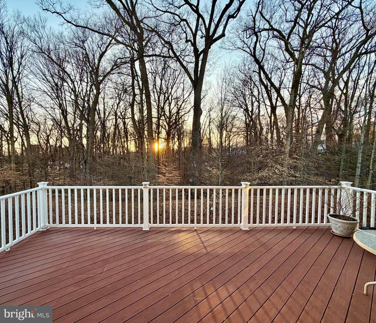8700 Springvale Drive photo 36