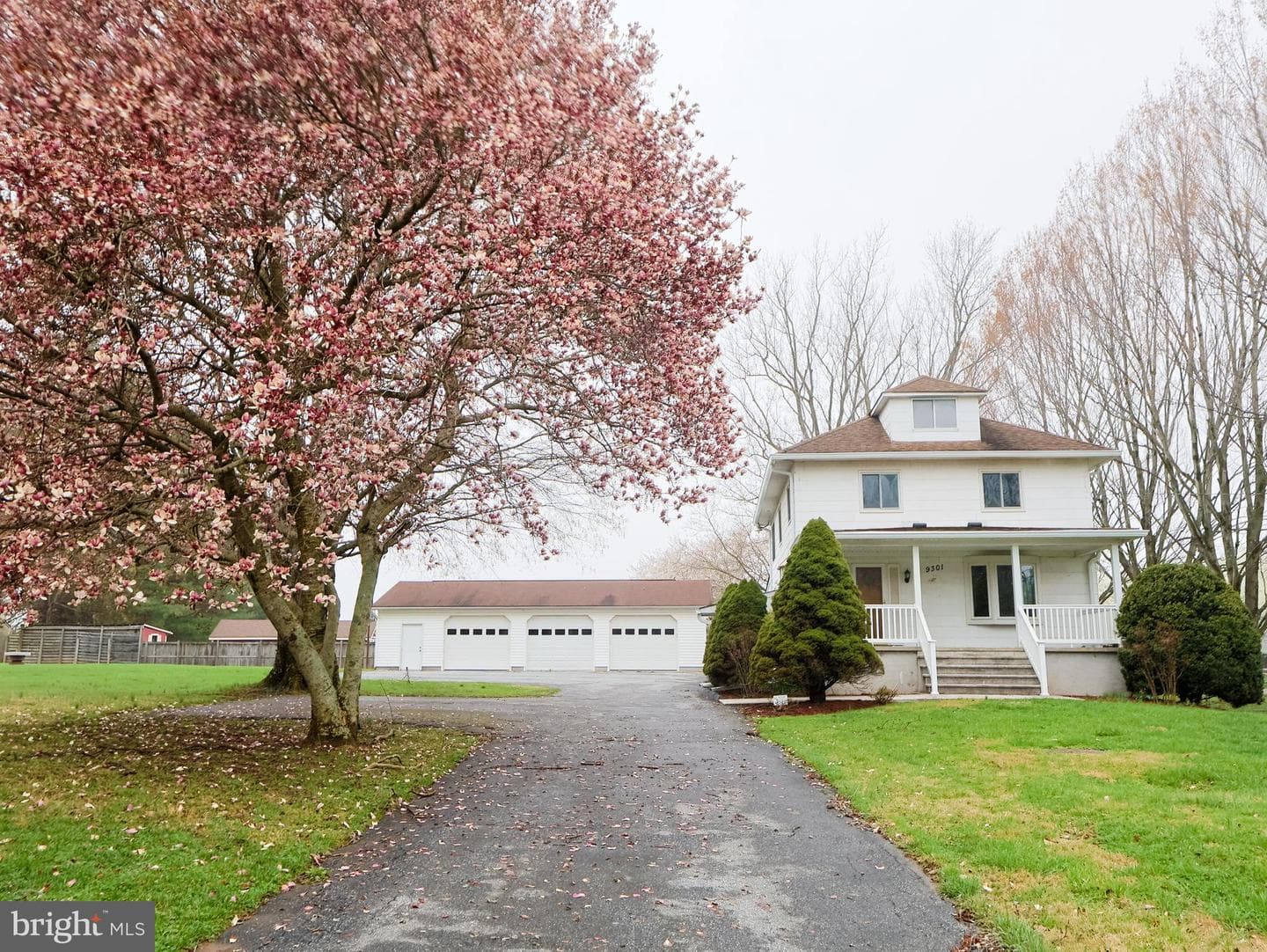 9301 Dogwood Road photo 3