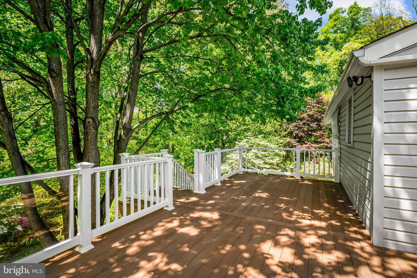 101 Daleview Court photo 6