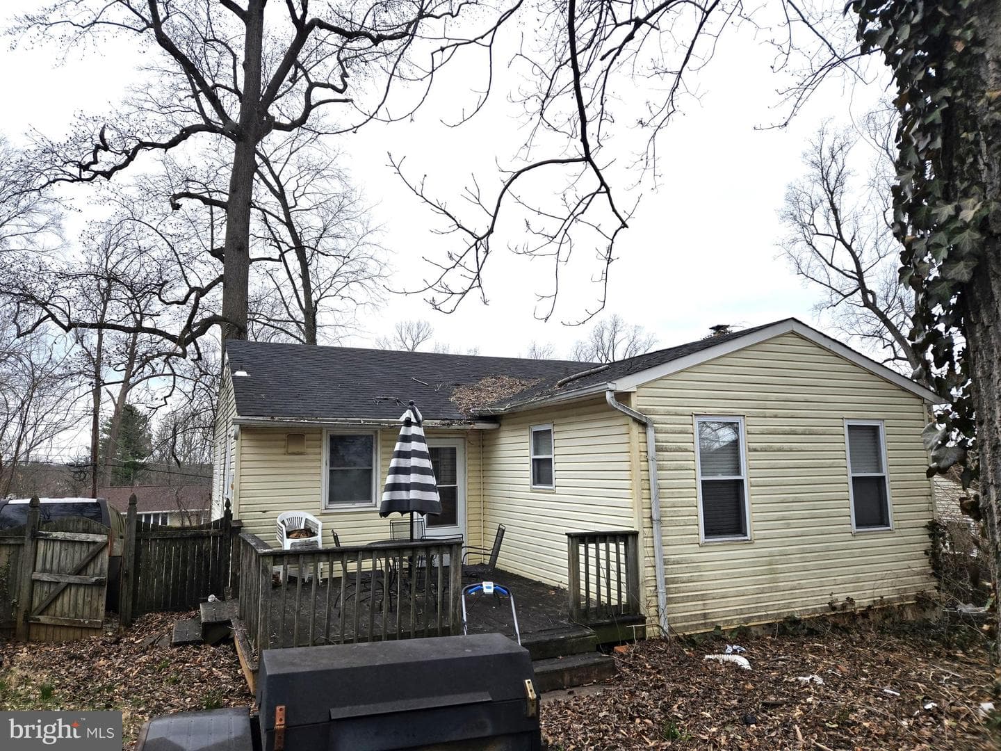 3661 Clifmar Road photo 20
