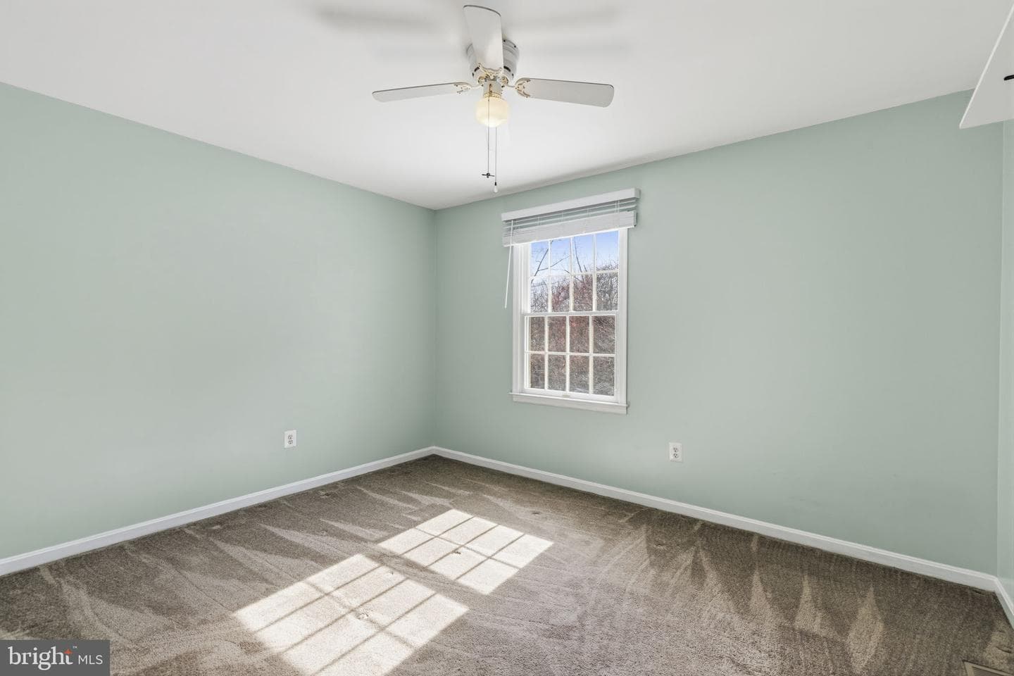 3719 Green Oak Court photo 30