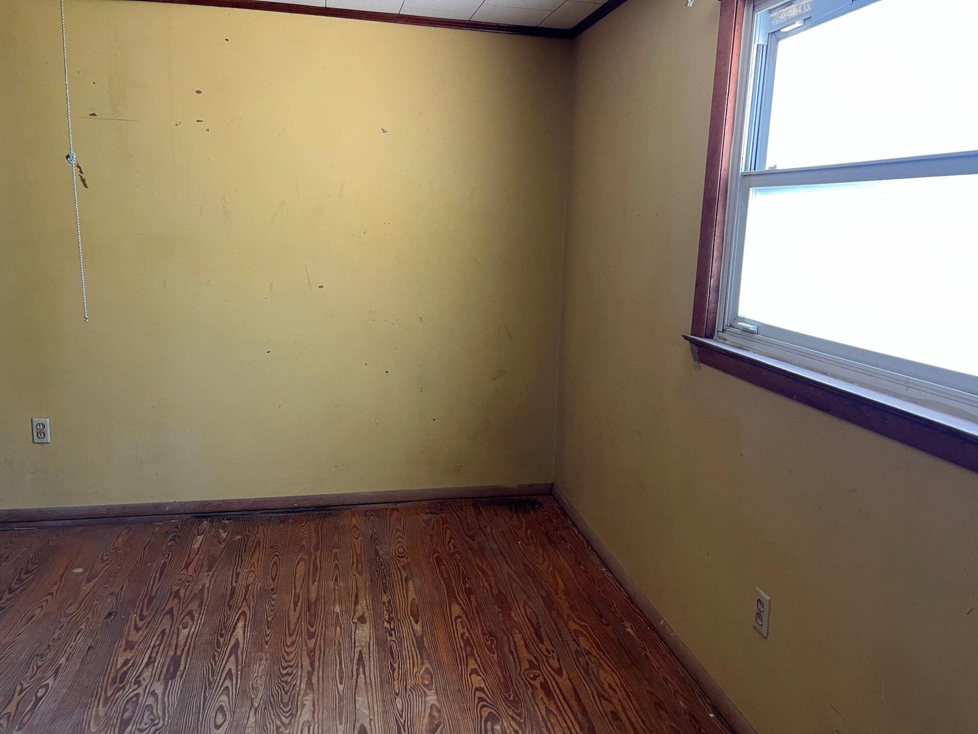 9710 Gaylord Street photo 23