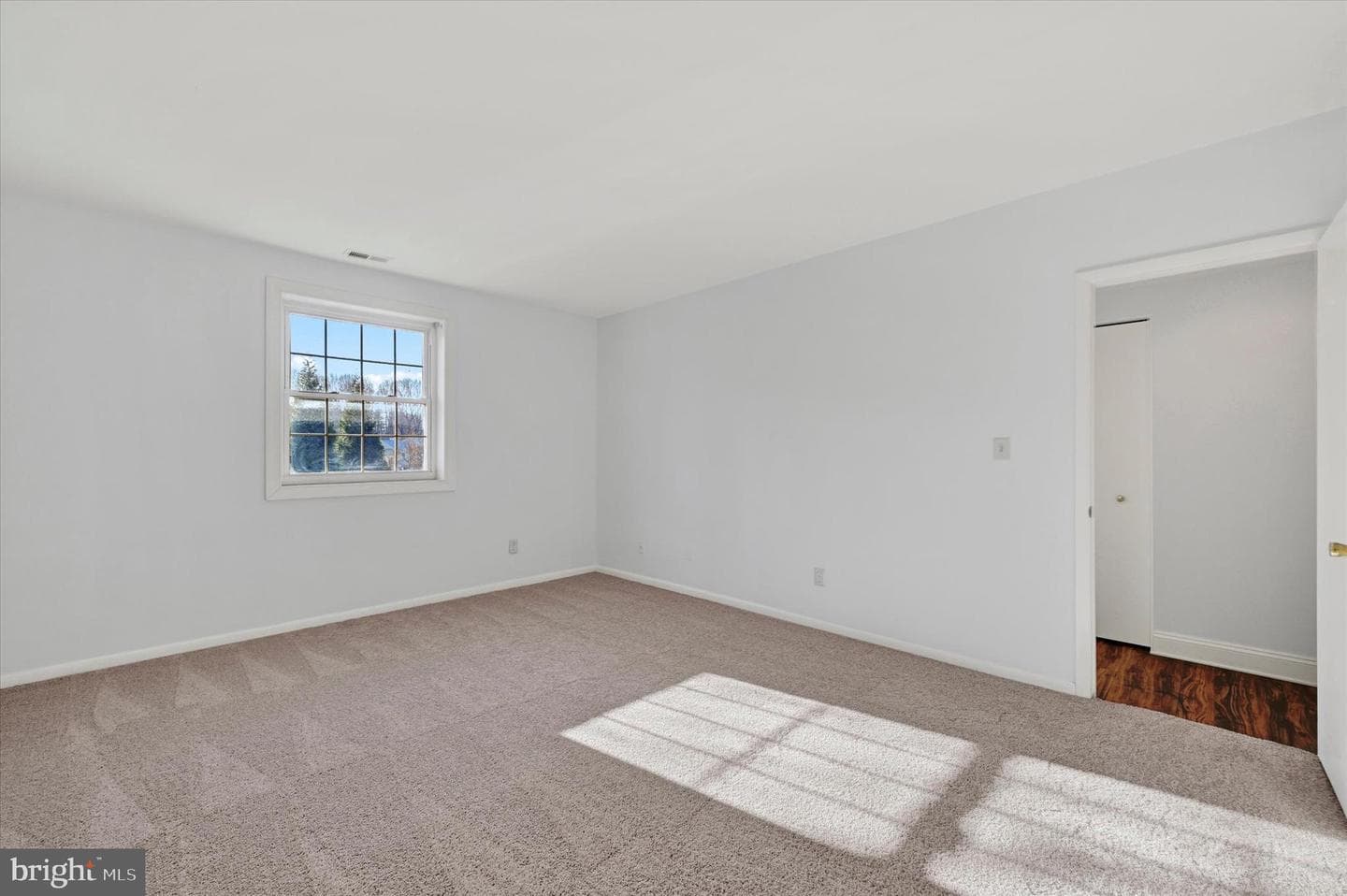 2 Elphin Court #202 photo 15