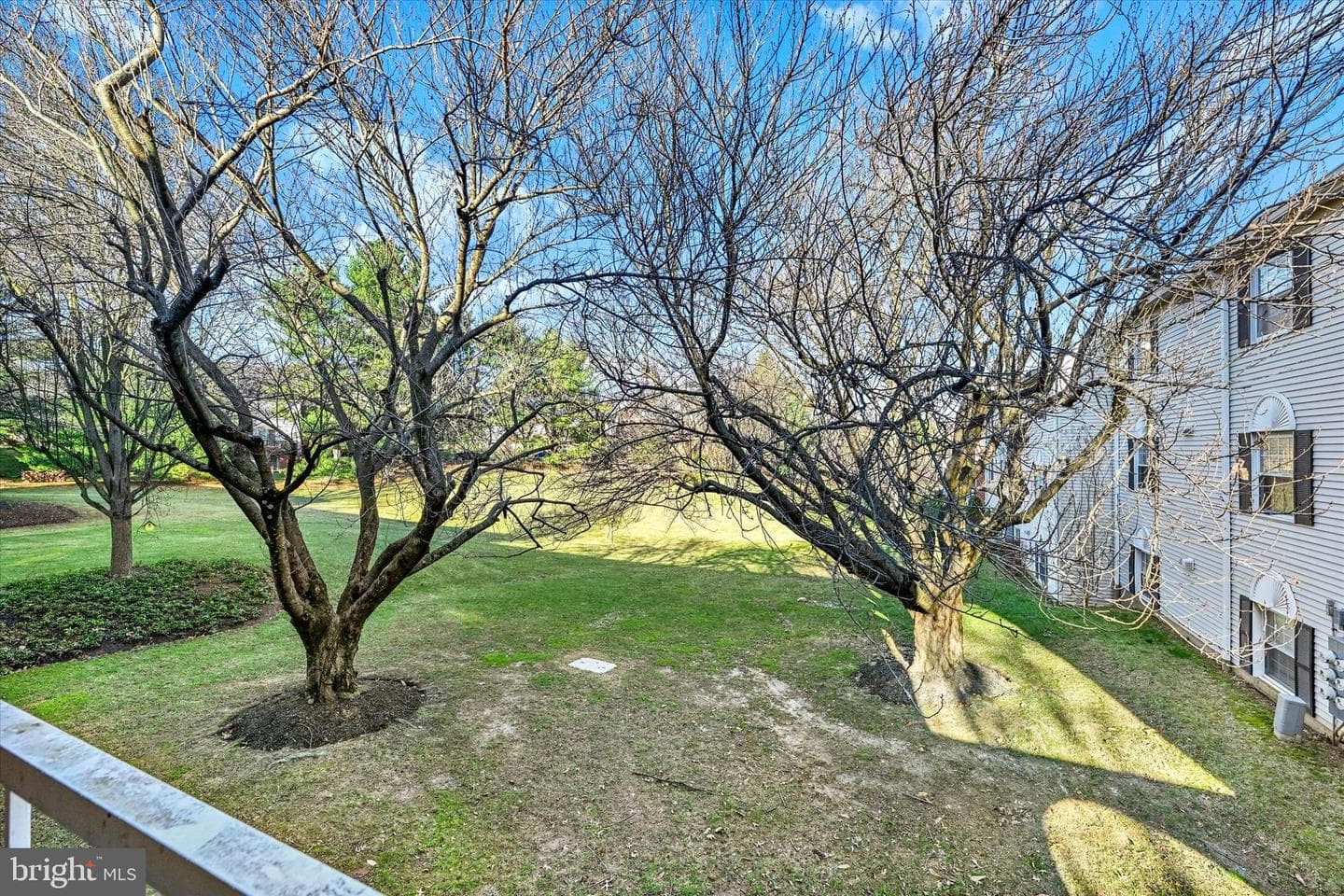2 Elphin Court #202 photo 28