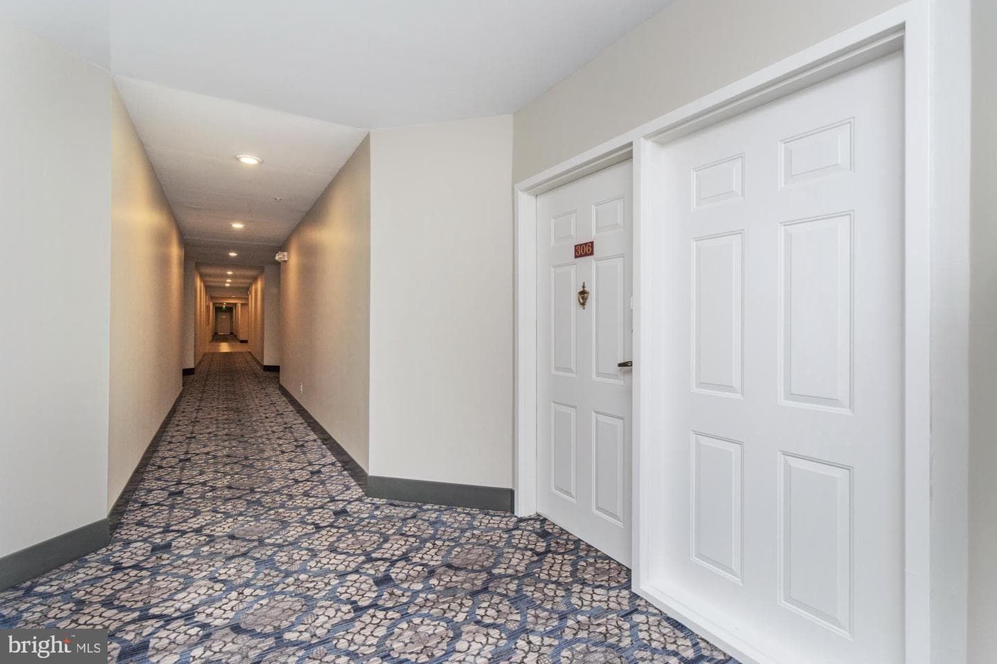 210 Belmont Forest Court #306 photo 11