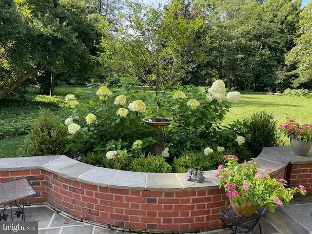 4 Farview Road photo 56