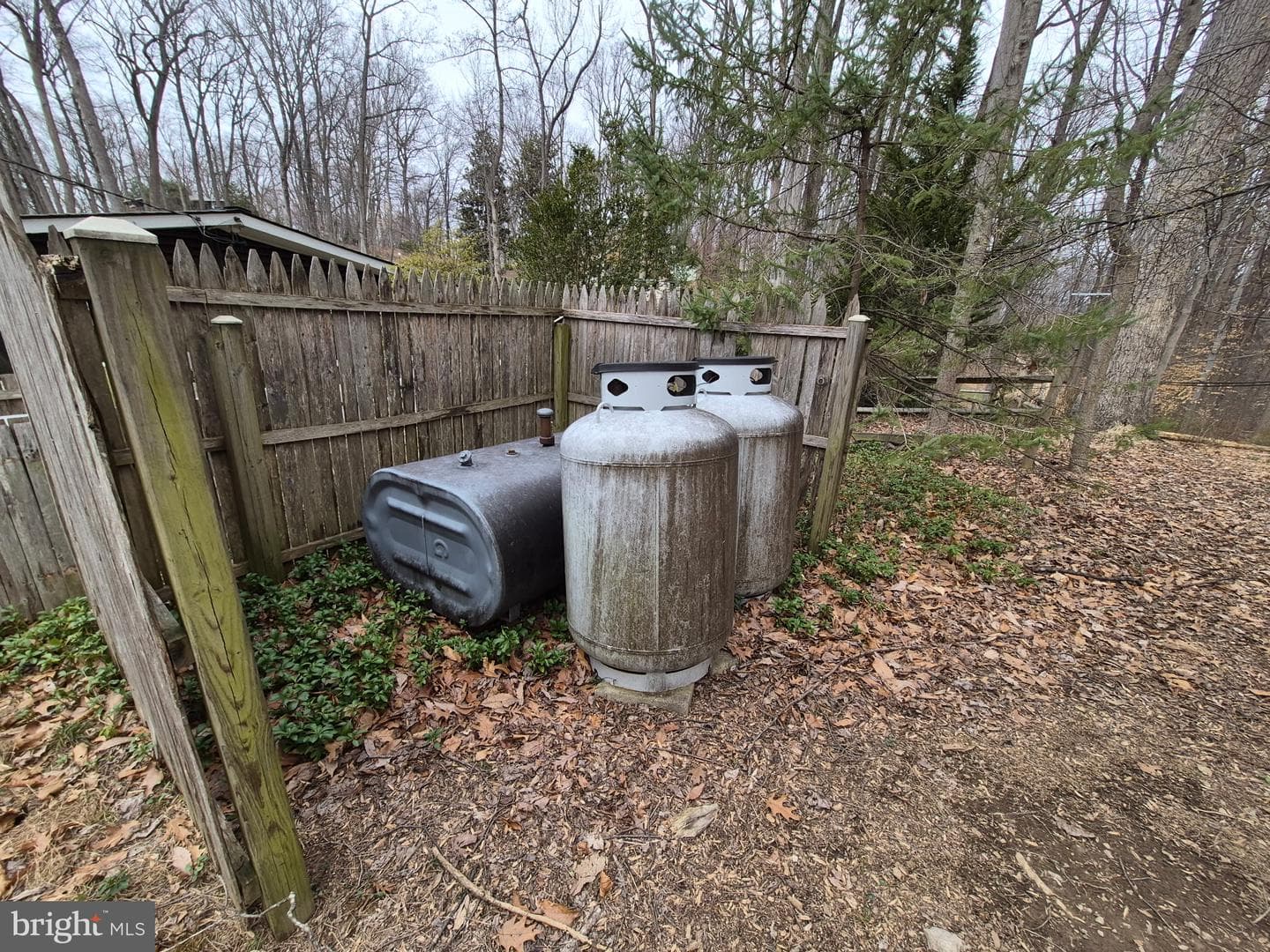 1403 Ellenglen Road photo 36