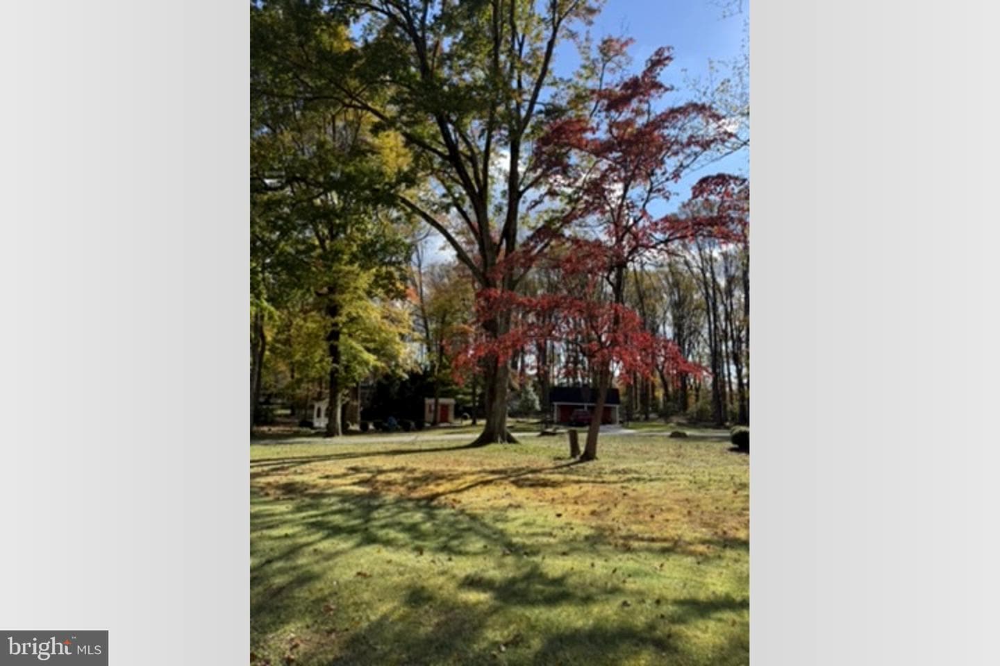 10212 Harvest Fields Drive photo 42