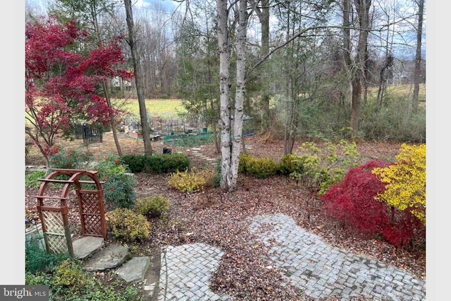 10212 Harvest Fields Drive photo 6