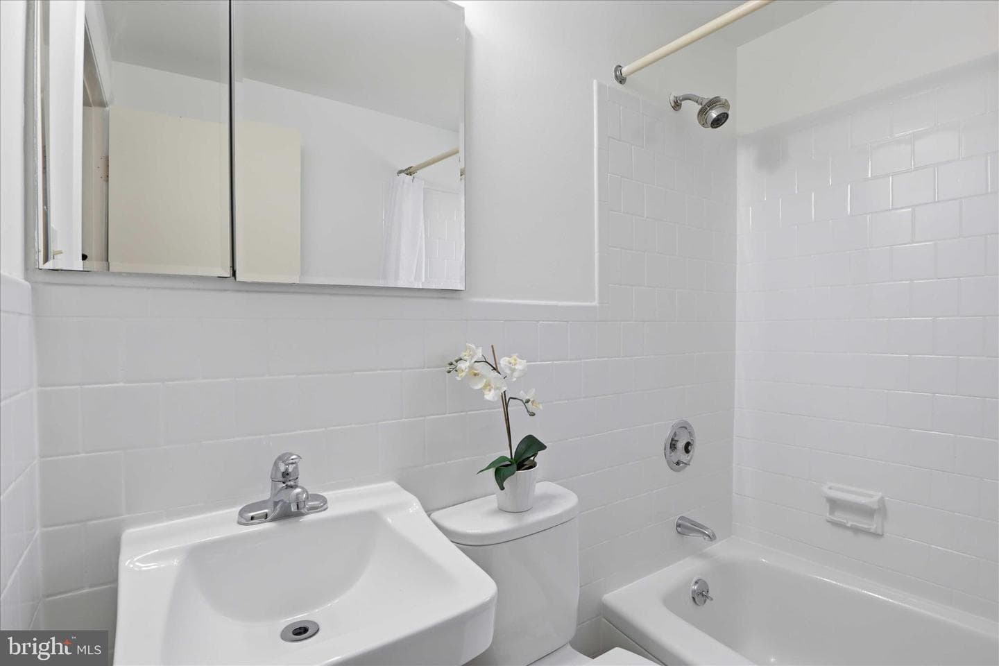 238 Chartley Drive photo 19
