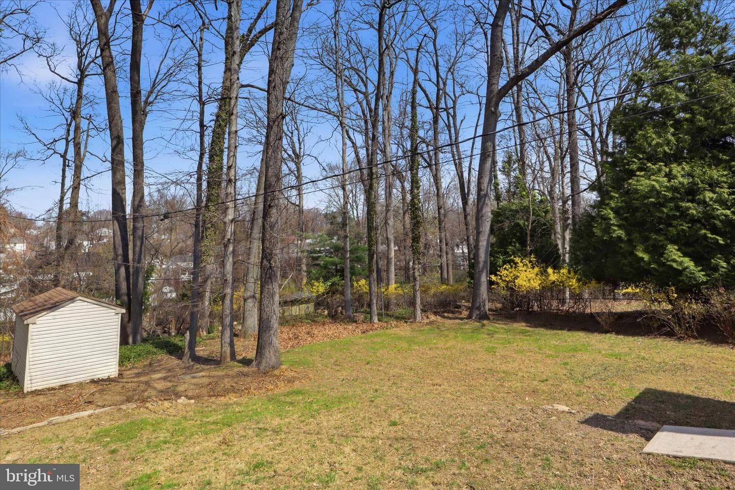 238 Chartley Drive photo 34