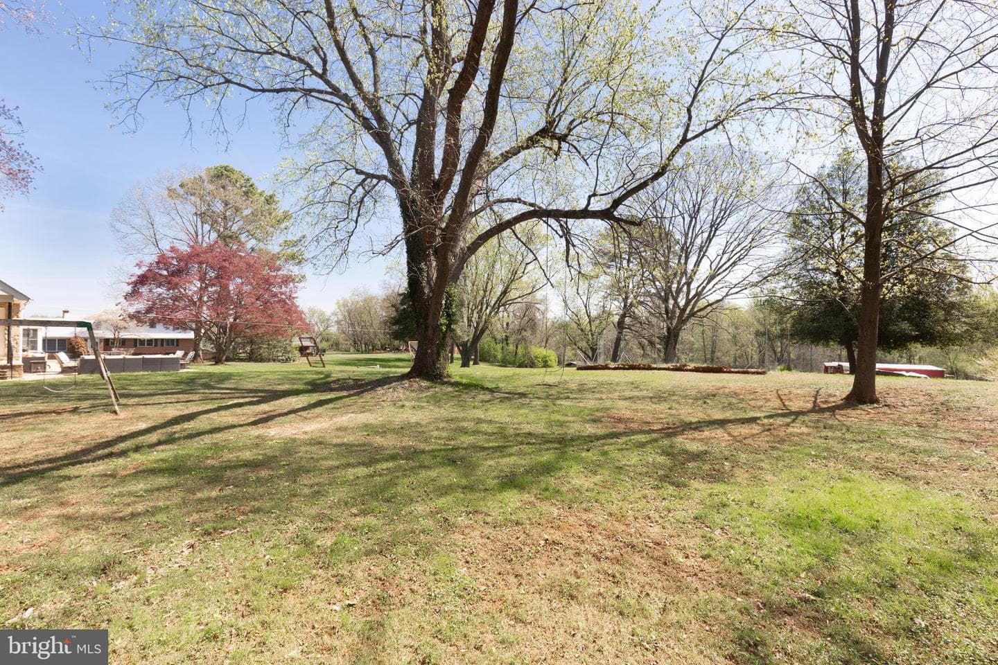 11501 Cedar Lane photo 50