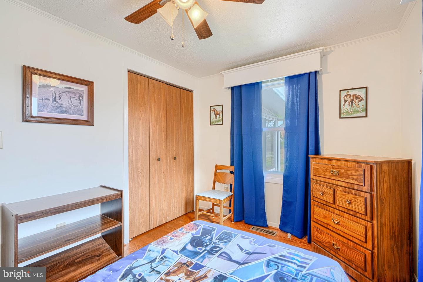 118 Nelson Road photo 22