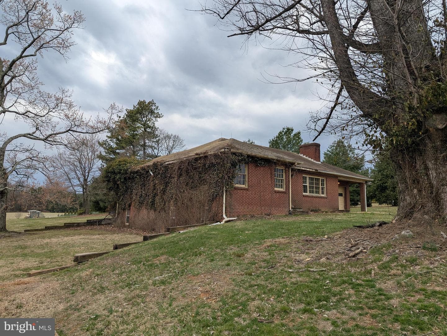 13500 Blenheim Road N photo 12