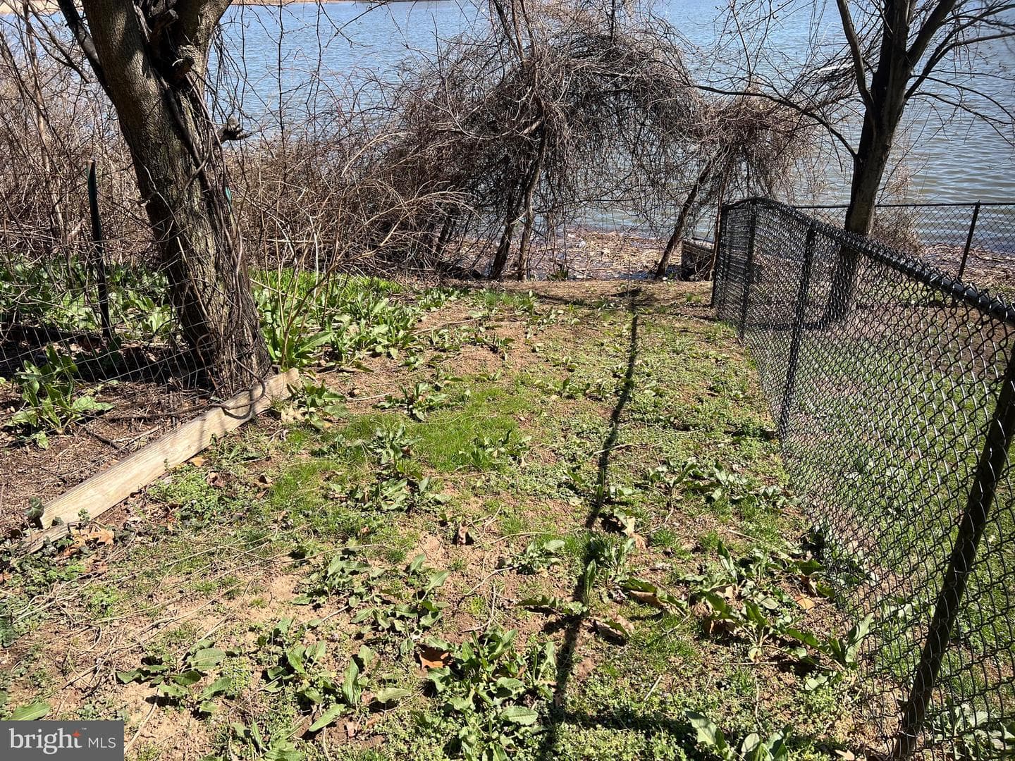 8019 Edgewater Avenue photo 2