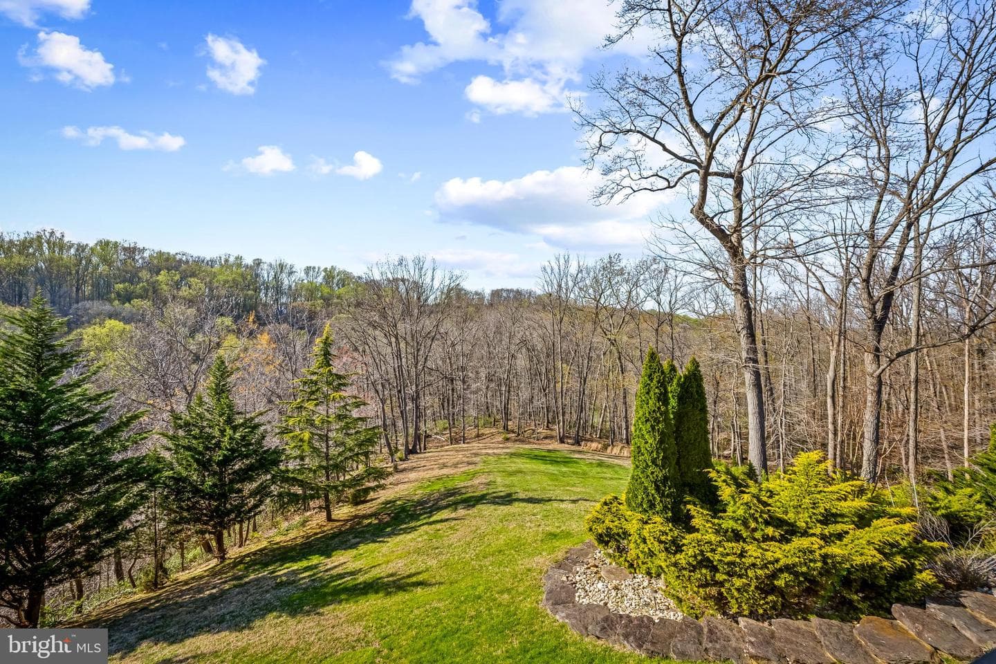 13040 Jerome Jay Drive photo 53