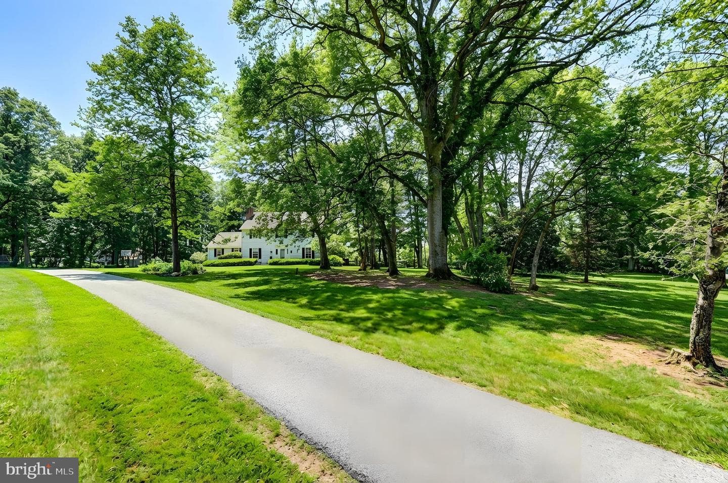 Happy Hollow Road photo 38