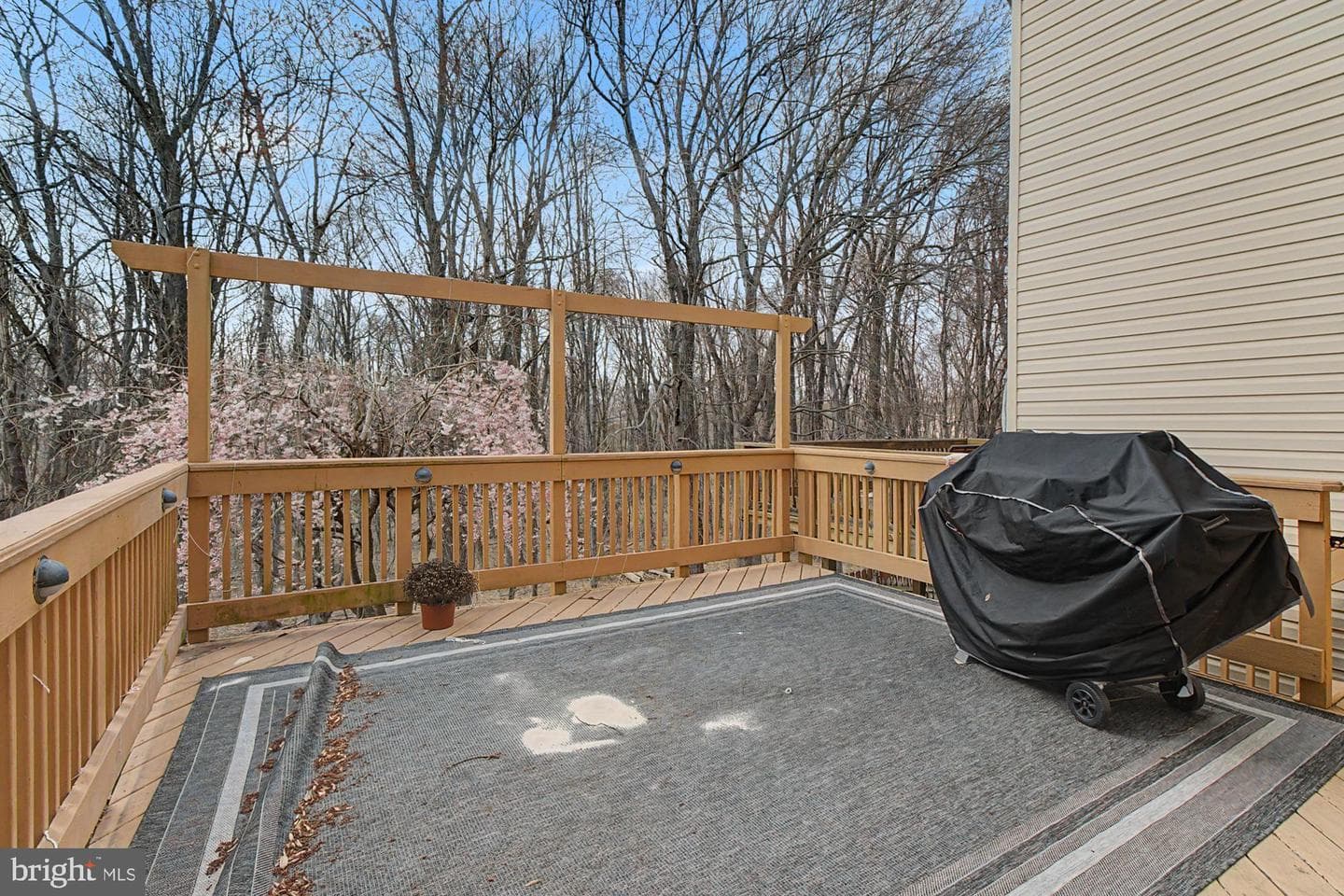215 Carolstowne Road photo 40