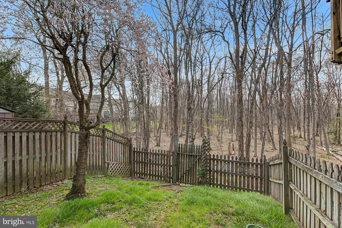 215 Carolstowne Road photo 44