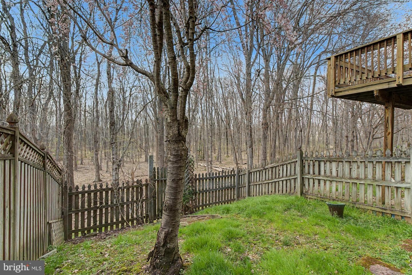 215 Carolstowne Road photo 45