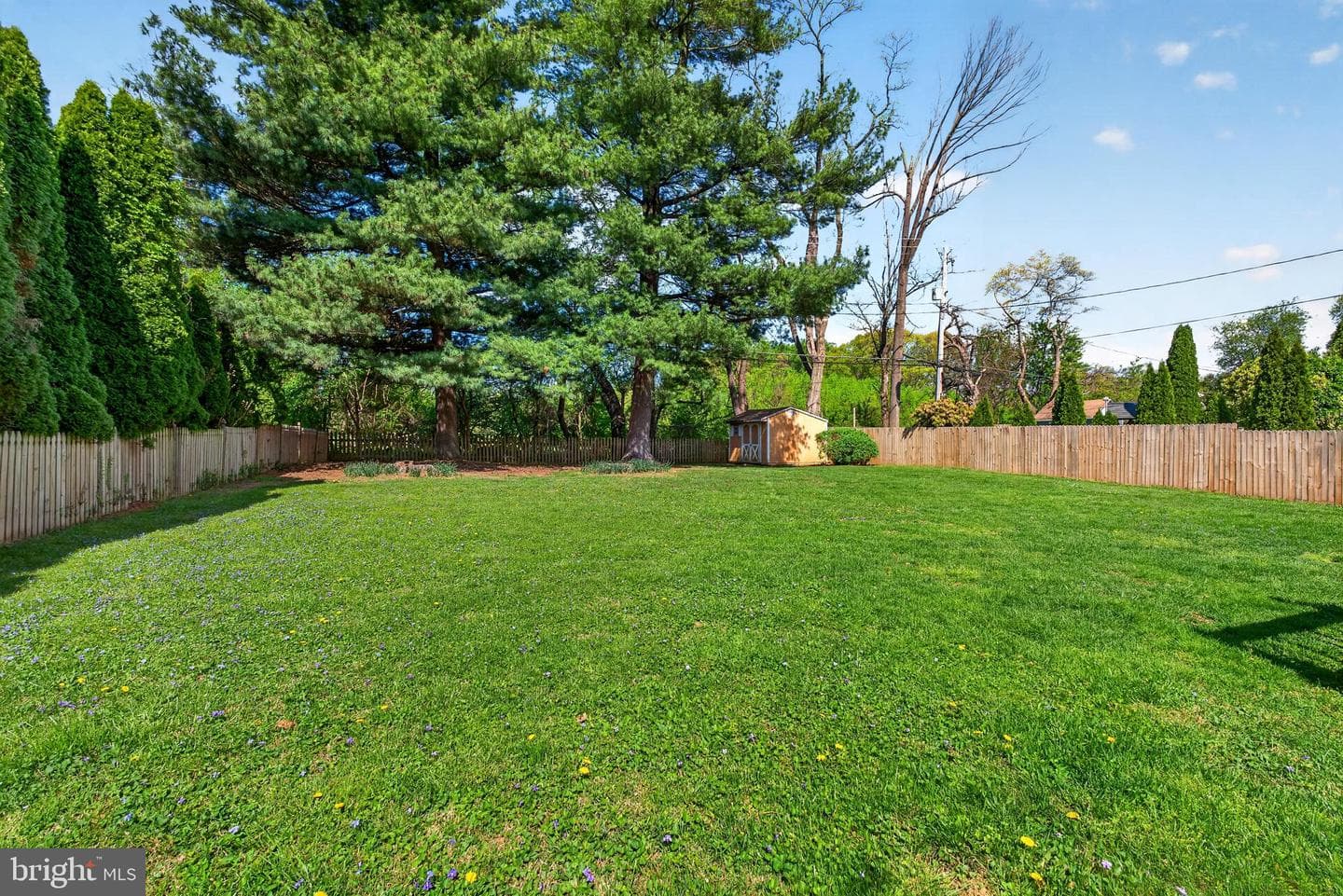 264 E Padonia Road photo 45