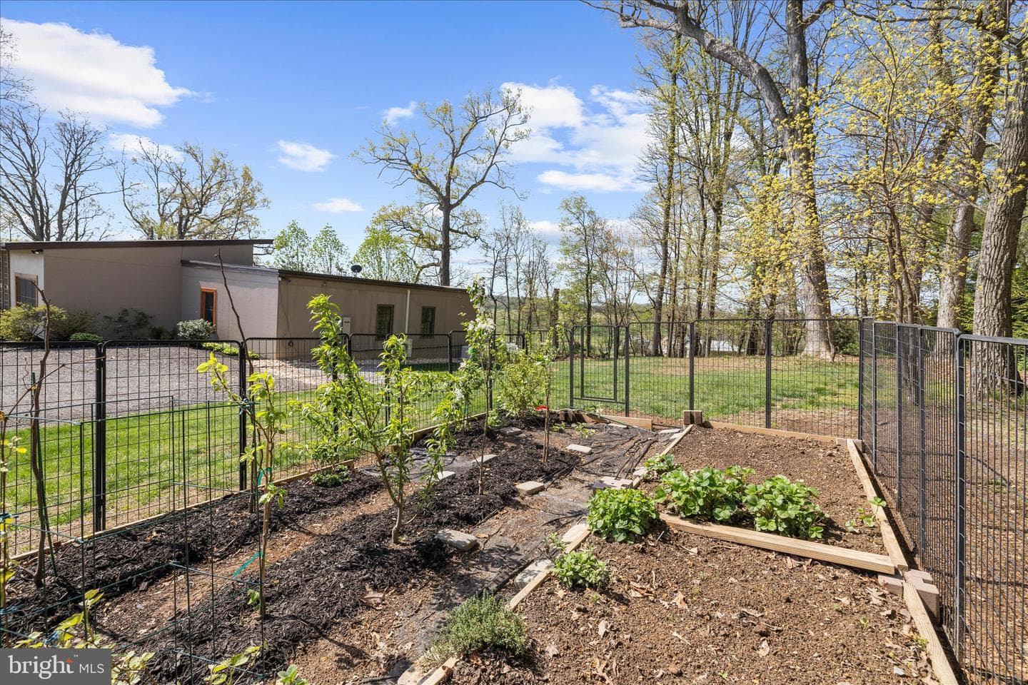 3413 Mount Zion Road photo 75