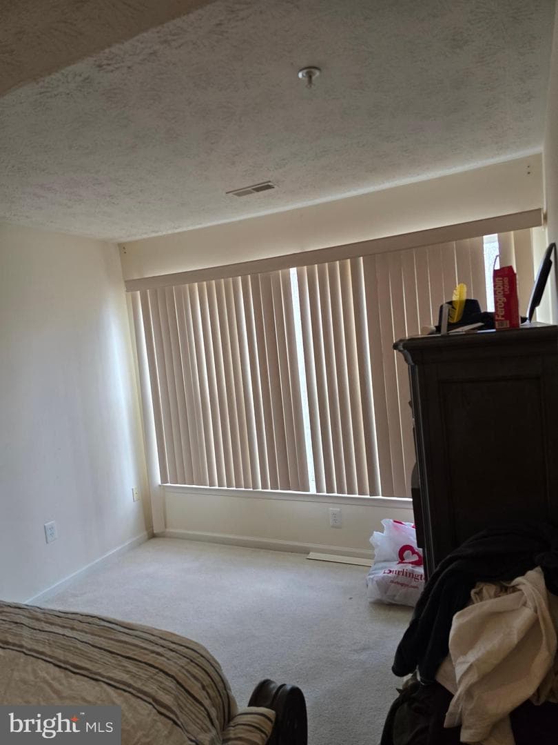 5161 Spring Willow Court photo 13