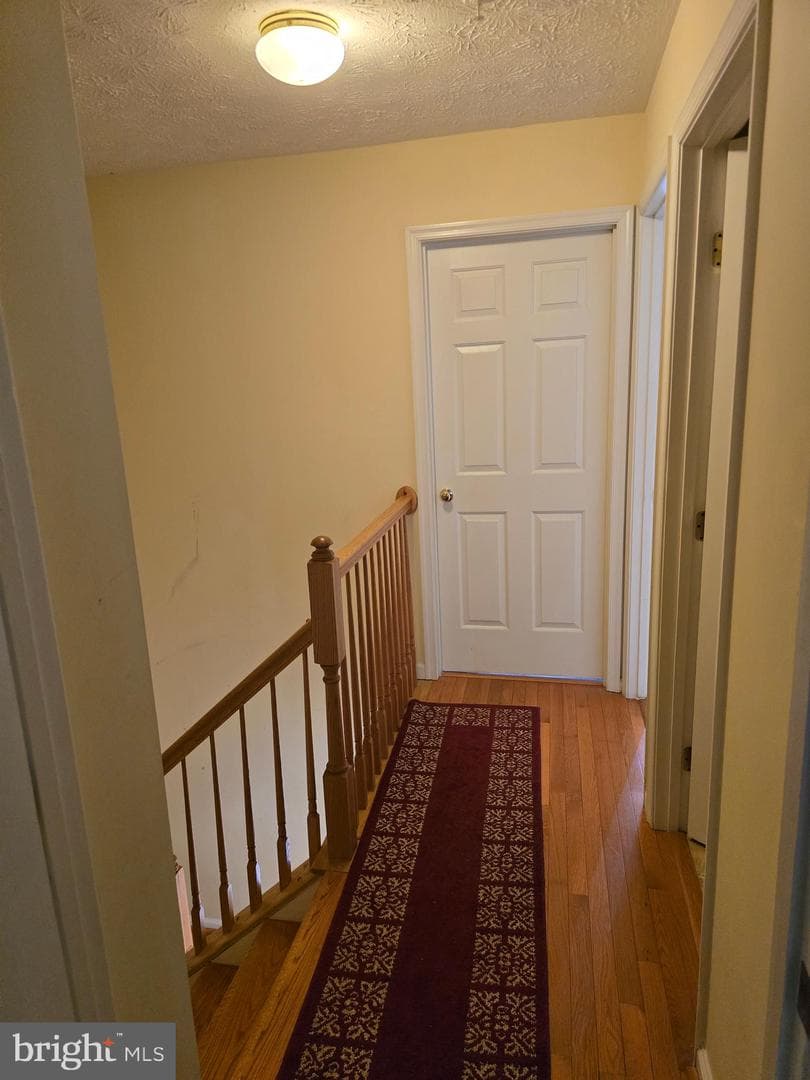 5161 Spring Willow Court photo 21