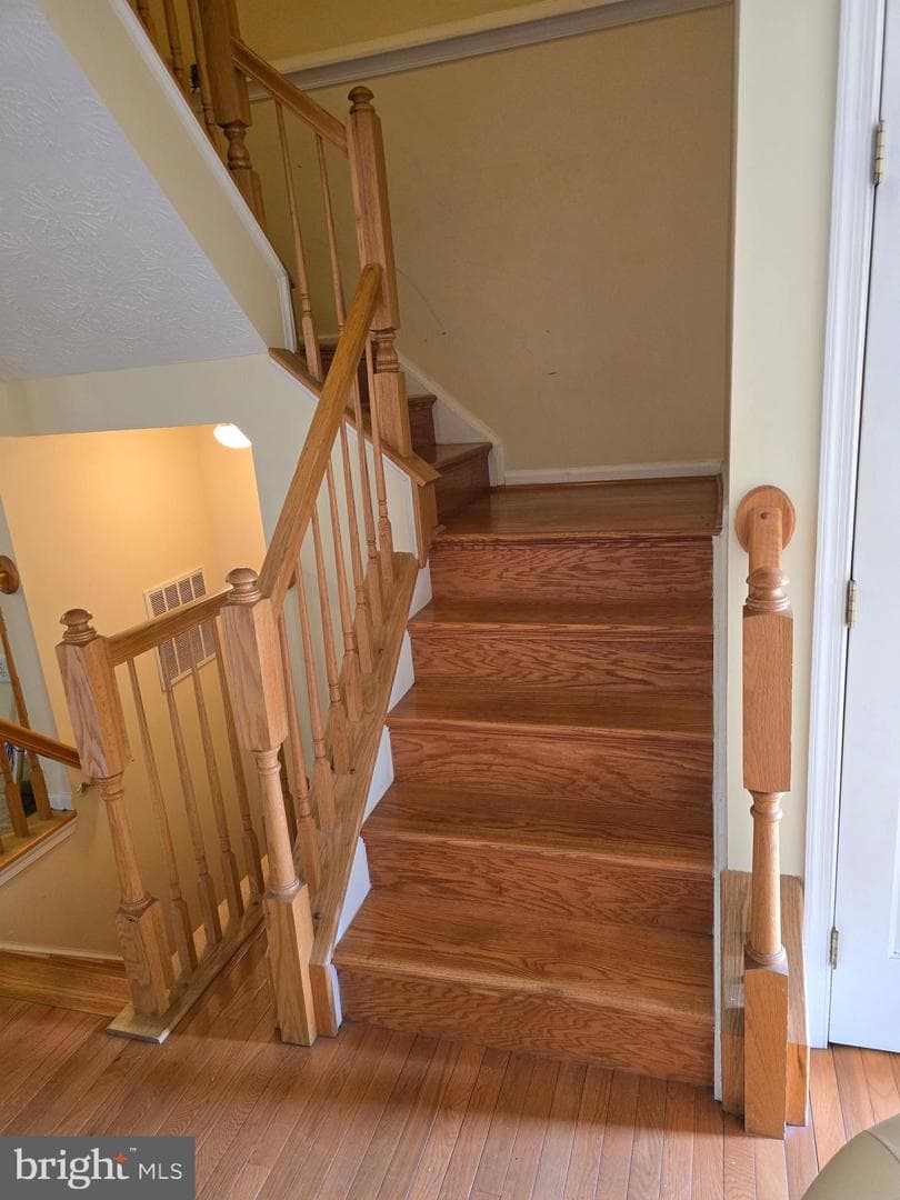 5161 Spring Willow Court photo 8