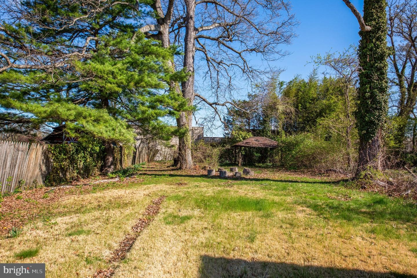 1750 Forrest Avenue photo 24