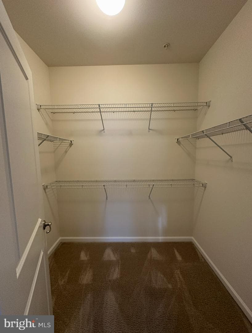 4334 Plinlimmon Drive photo 13
