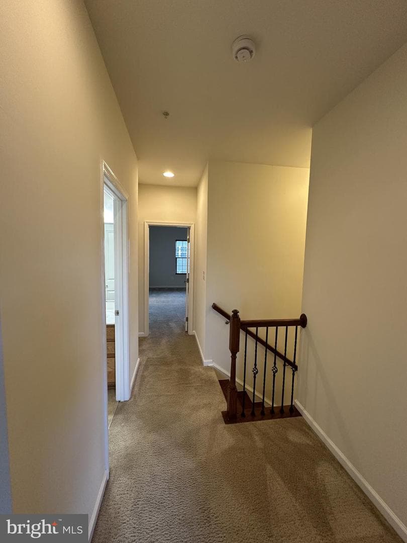 4334 Plinlimmon Drive photo 17