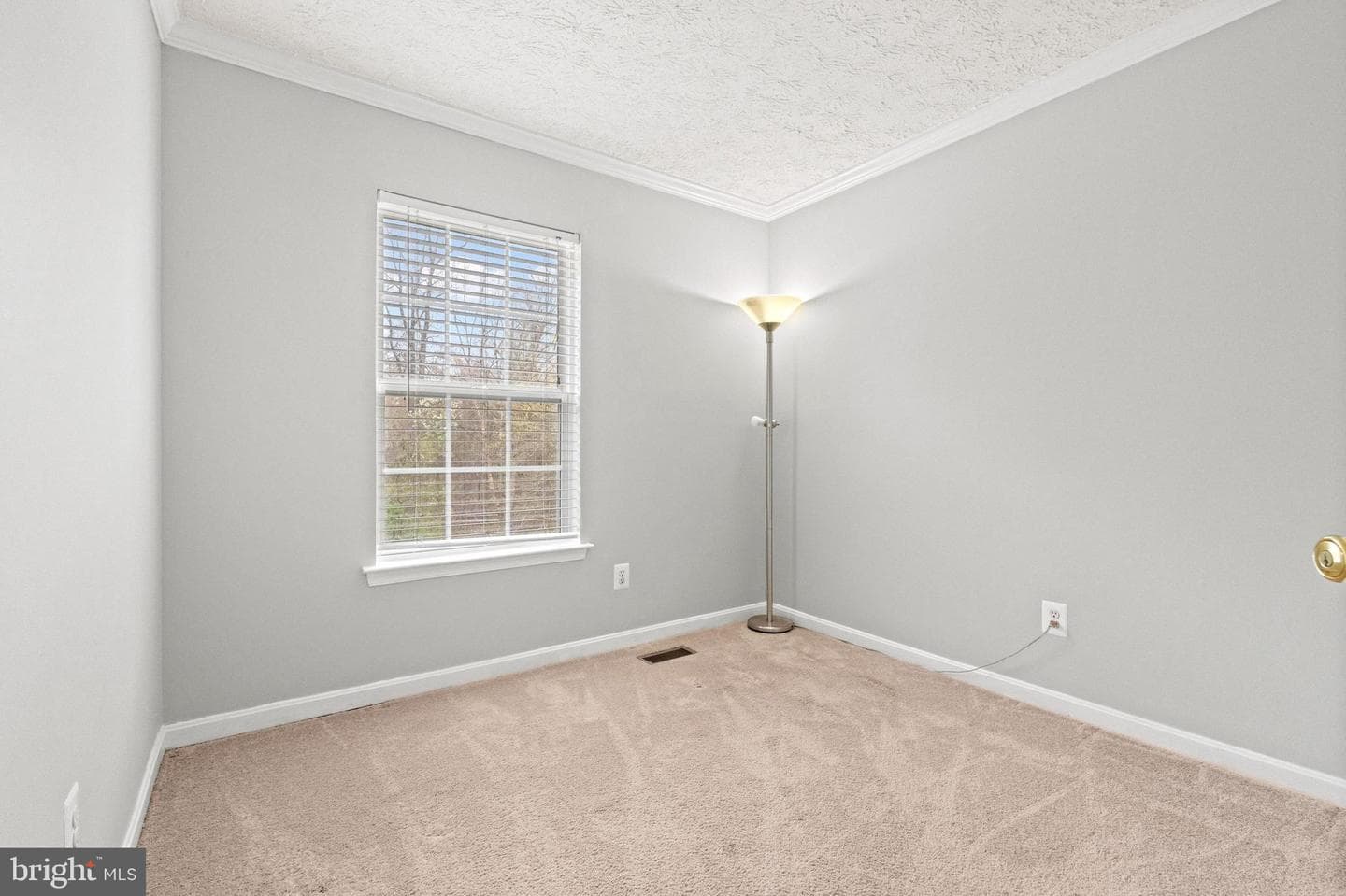 5035 Bridgeford Circle photo 16