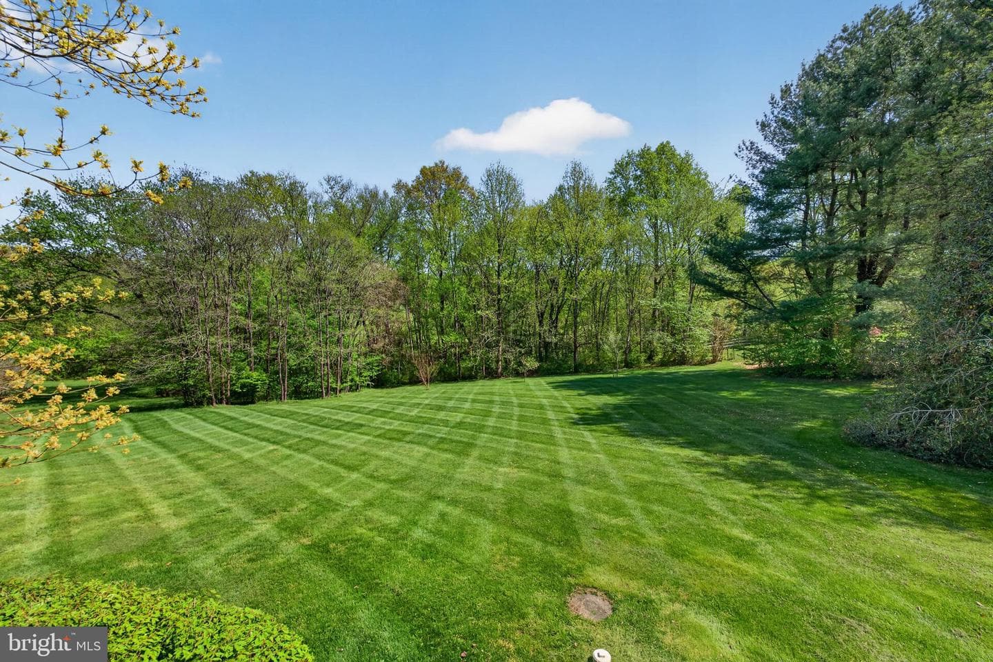 11 Country Hill Court photo 46