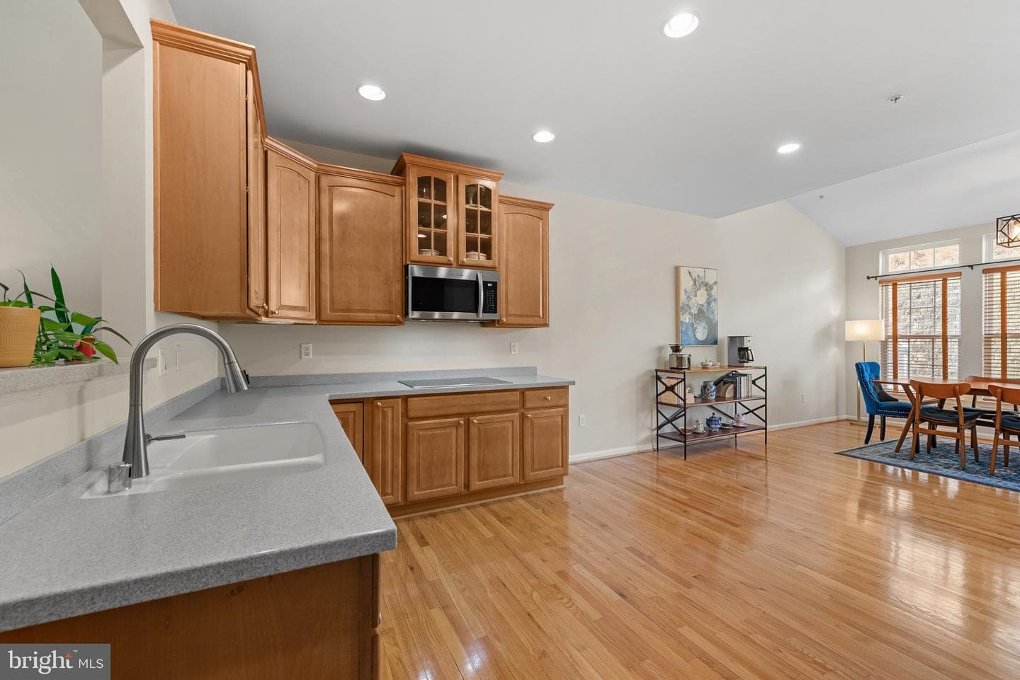 8522 Mountainholly Drive photo 11