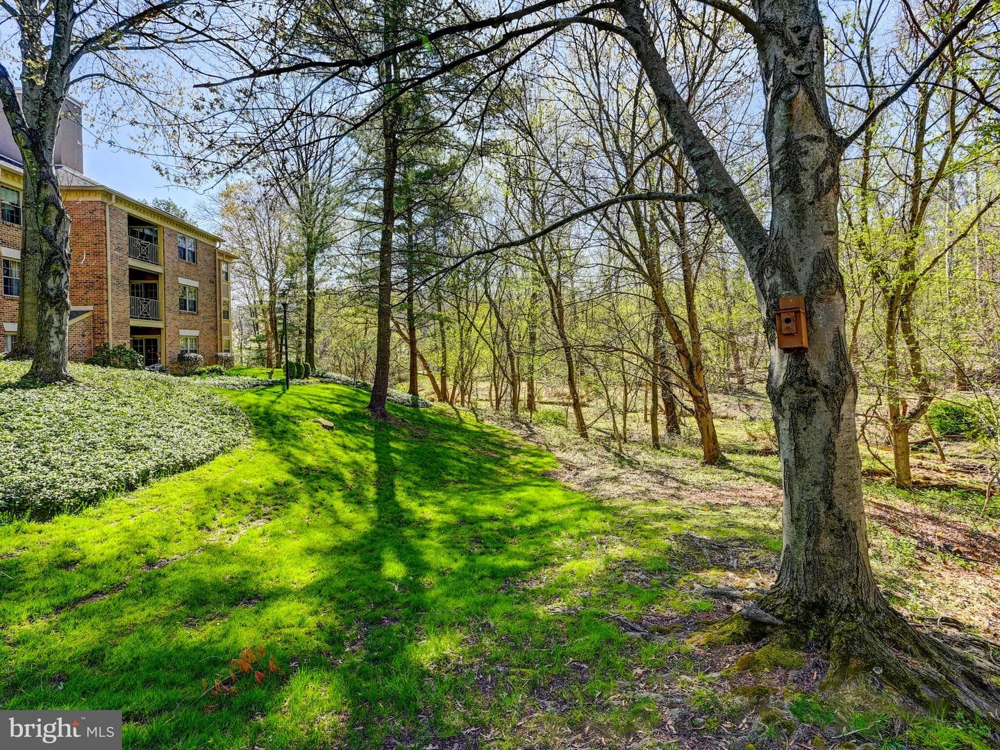 14201 Quail Creek Way #304 photo 17