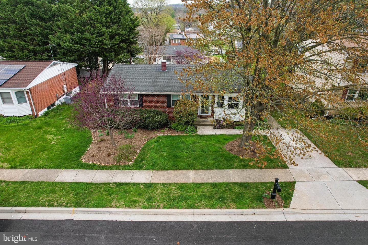 10113 Daventry Drive photo 43