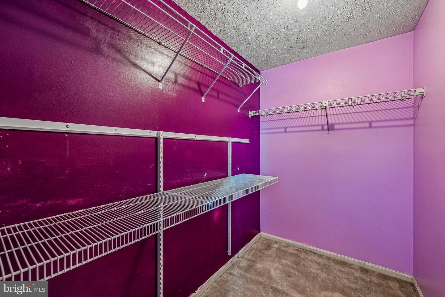 17 Chatterly Court photo 23